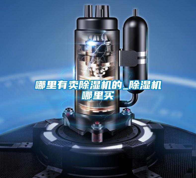 哪里有賣(mài)除濕機的_除濕機哪里買(mǎi)