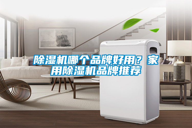 除濕機哪個(gè)品牌好用？家用除濕機品牌推薦