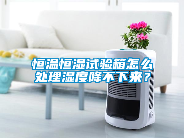 恒溫恒濕試驗箱怎么處理濕度降不下來(lái)？