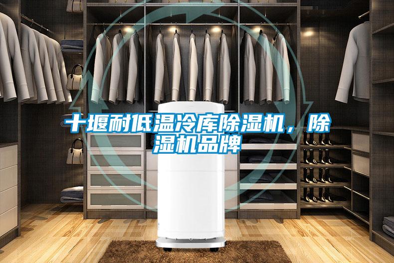 十堰耐低溫冷庫除濕機，除濕機品牌
