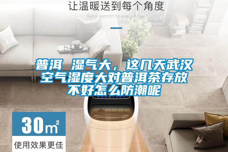 普洱 濕氣大，這幾天武漢空氣濕度大對普洱茶存放不好怎么防潮呢