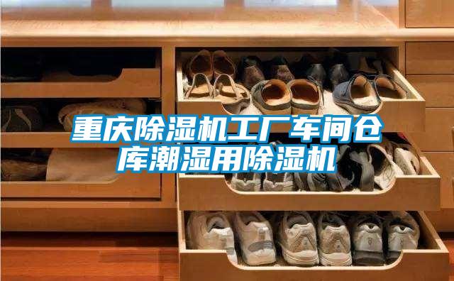 重慶除濕機工廠(chǎng)車(chē)間倉庫潮濕用除濕機