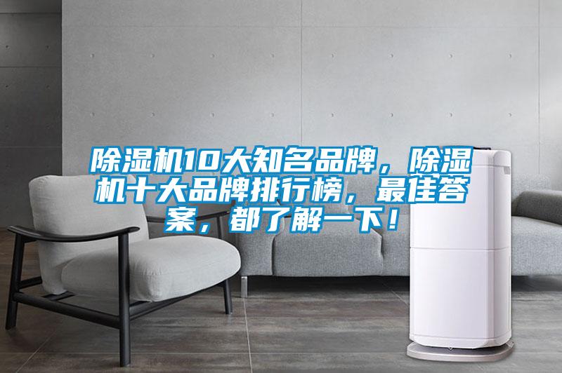 除濕機10大知名品牌，除濕機十大品牌排行榜，最佳答案，都了解一下！