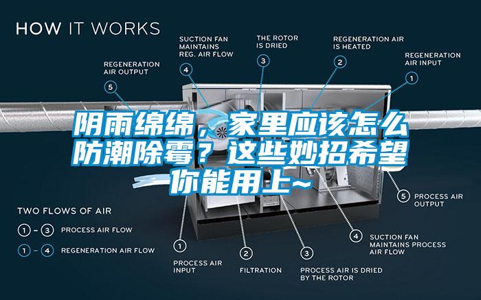 陰雨綿綿，家里應該怎么防潮除霉？這些妙招希望你能用上~