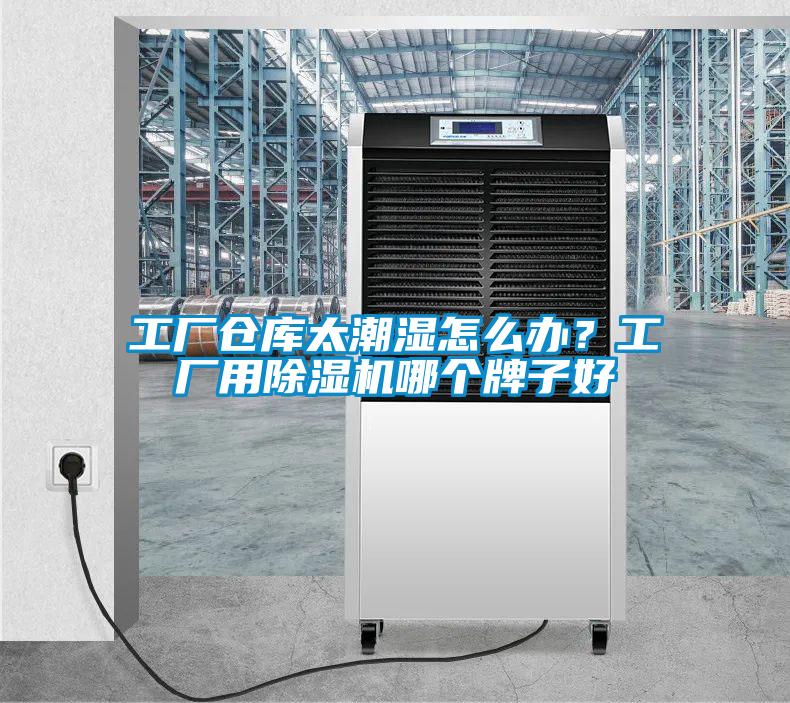 工廠(chǎng)倉庫太潮濕怎么辦？工廠(chǎng)用除濕機哪個(gè)牌子好