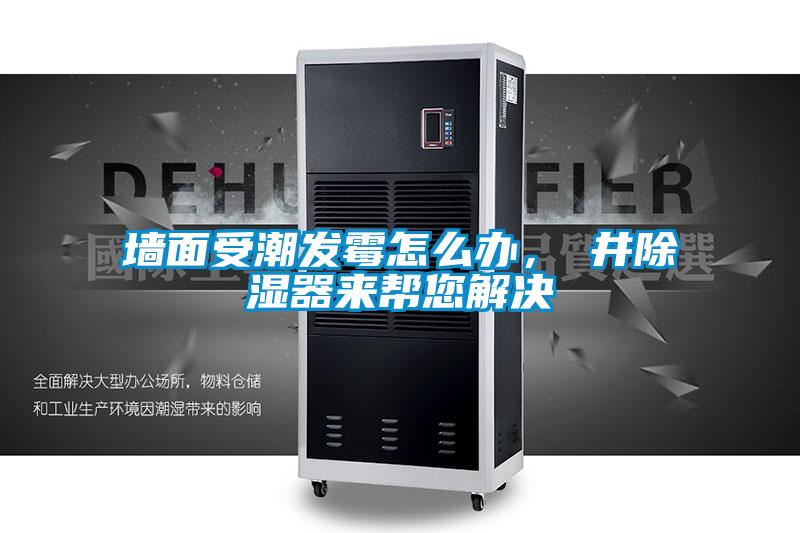 墻面受潮發(fā)霉怎么辦，東井除濕器來(lái)幫您解決