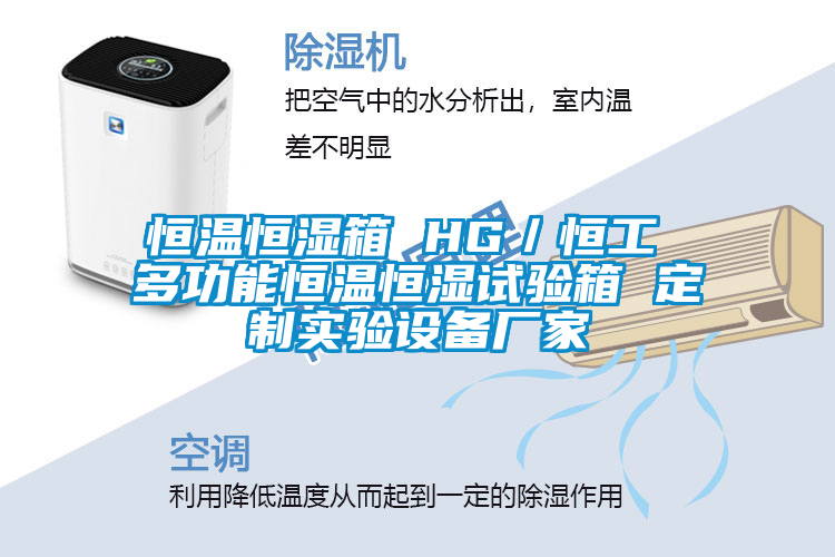 恒溫恒濕箱 HG／恒工 多功能恒溫恒濕試驗箱 定制實(shí)驗設備廠(chǎng)家