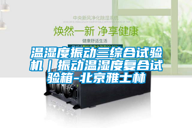 溫濕度振動(dòng)三綜合試驗機｜振動(dòng)溫濕度復合試驗箱-北京雅士林