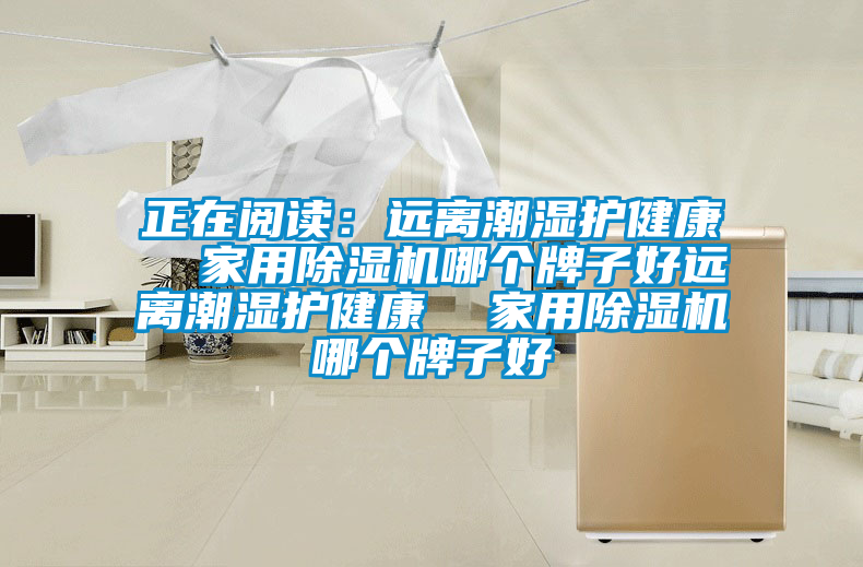 正在閱讀：遠離潮濕護健康  家用除濕機哪個(gè)牌子好遠離潮濕護健康  家用除濕機哪個(gè)牌子好