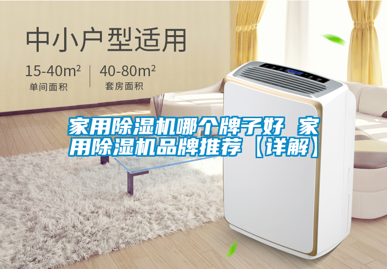家用除濕機哪個(gè)牌子好 家用除濕機品牌推薦【詳解】