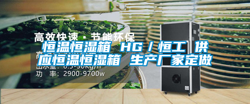 恒溫恒濕箱 HG／恒工 供應恒溫恒濕箱 生產(chǎn)廠(chǎng)家定做
