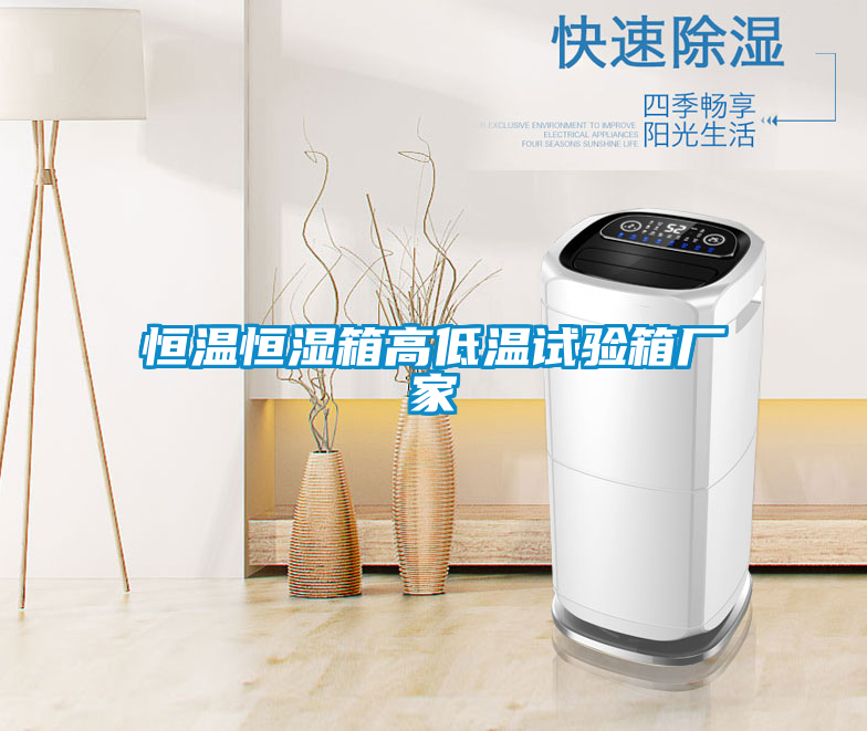 恒溫恒濕箱高低溫試驗箱廠(chǎng)家