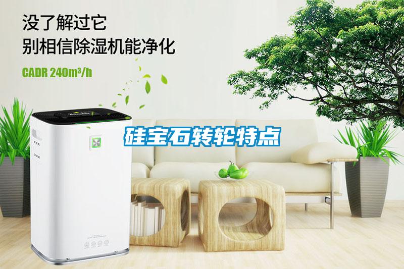 硅寶石轉輪特點(diǎn)