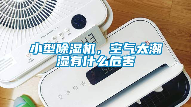 小型除濕機，空氣太潮濕有什么危害