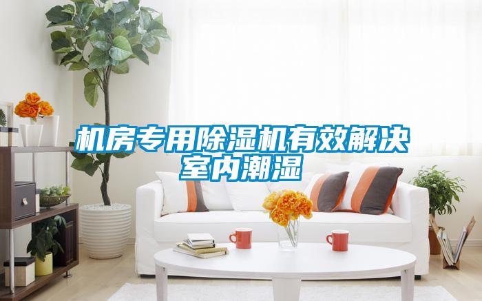 機房專(zhuān)用除濕機有效解決室內潮濕