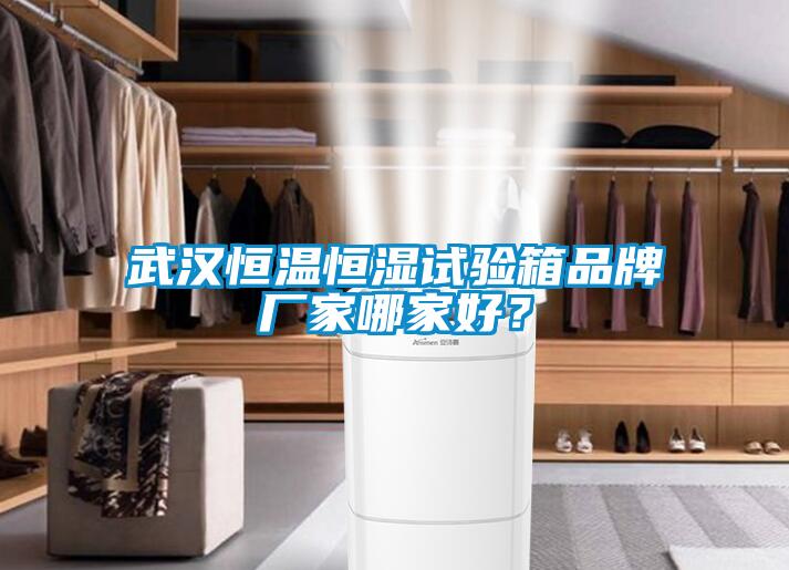 武漢恒溫恒濕試驗箱品牌廠(chǎng)家哪家好？