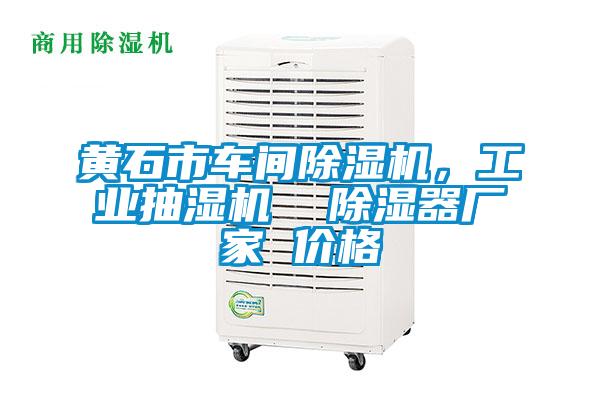 黃石市車(chē)間除濕機，工業(yè)抽濕機  除濕器廠(chǎng)家 價(jià)格