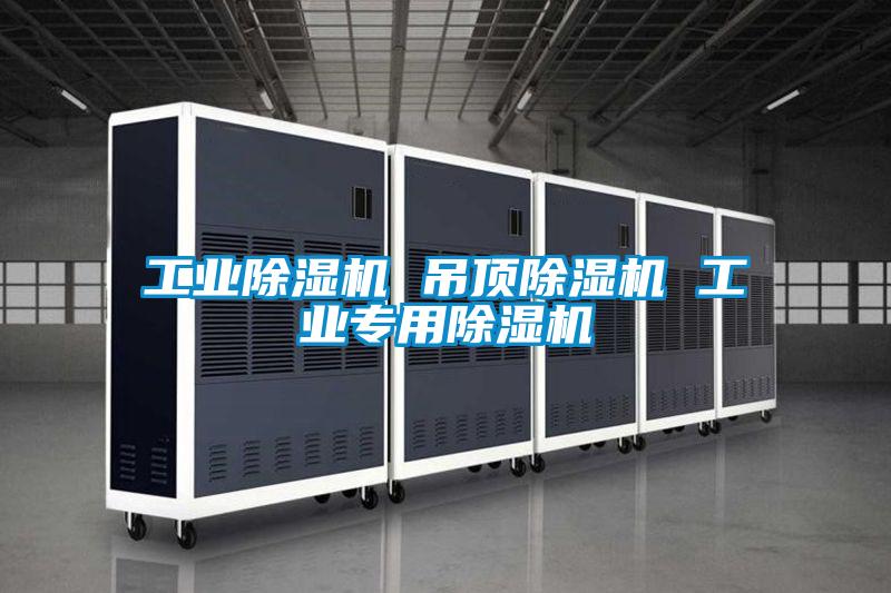 工業(yè)除濕機 吊頂除濕機 工業(yè)專(zhuān)用除濕機