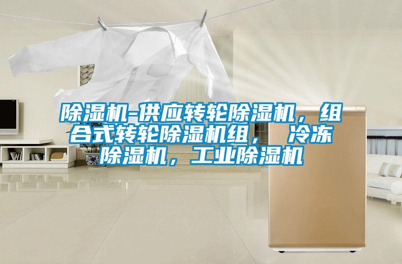 除濕機-供應轉輪除濕機，組合式轉輪除濕機組， 冷凍除濕機，工業(yè)除濕機