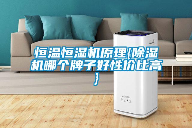 恒溫恒濕機原理{除濕機哪個(gè)牌子好性?xún)r(jià)比高}