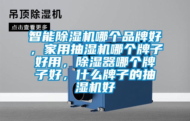 智能除濕機哪個(gè)品牌好，家用抽濕機哪個(gè)牌子好用，除濕器哪個(gè)牌子好，什么牌子的抽濕機好