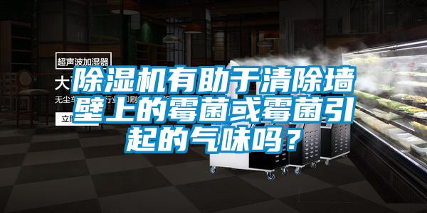 除濕機有助于清除墻壁上的霉菌或霉菌引起的氣味嗎？