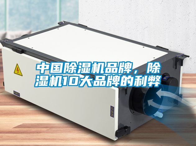 中國除濕機品牌，除濕機10大品牌的利弊