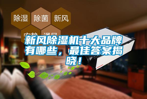 新風(fēng)除濕機十大品牌有哪些，最佳答案揭曉！