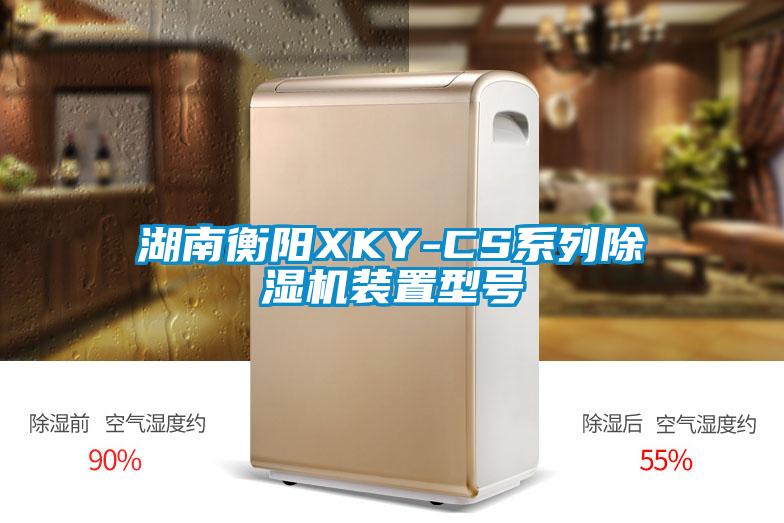 湖南衡陽(yáng)XKY-CS系列除濕機裝置型號
