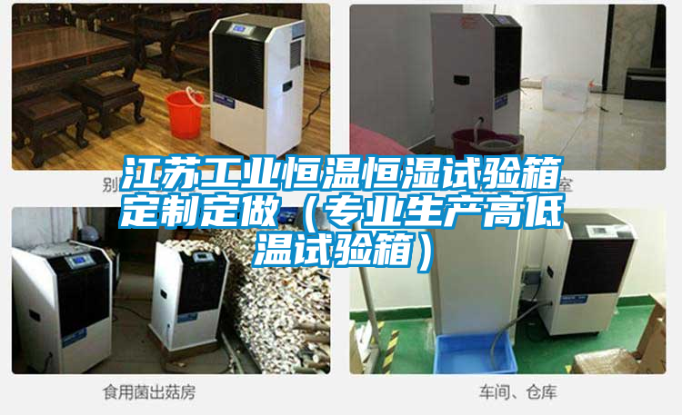 江蘇工業(yè)恒溫恒濕試驗箱定制定做（專(zhuān)業(yè)生產(chǎn)高低溫試驗箱）