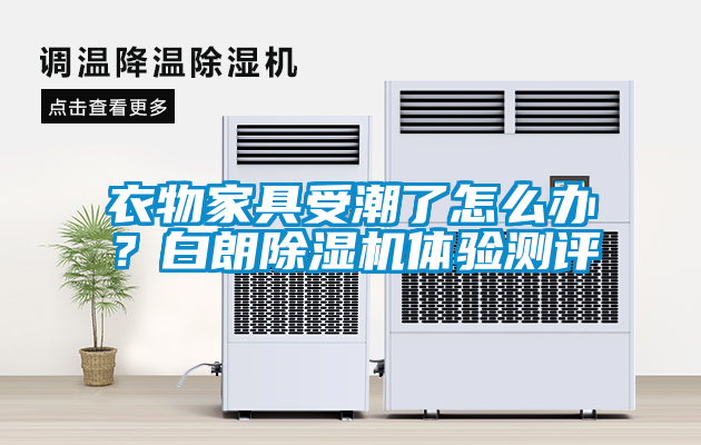 衣物家具受潮了怎么辦？白朗除濕機體驗測評