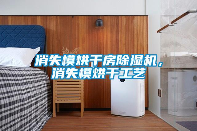 消失模烘干房除濕機，消失模烘干工藝