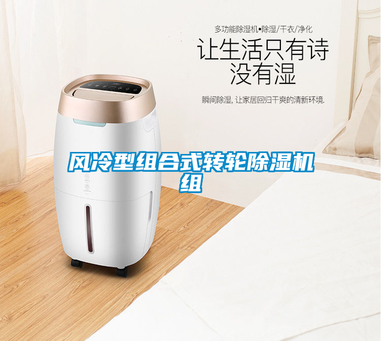 風(fēng)冷型組合式轉輪除濕機組