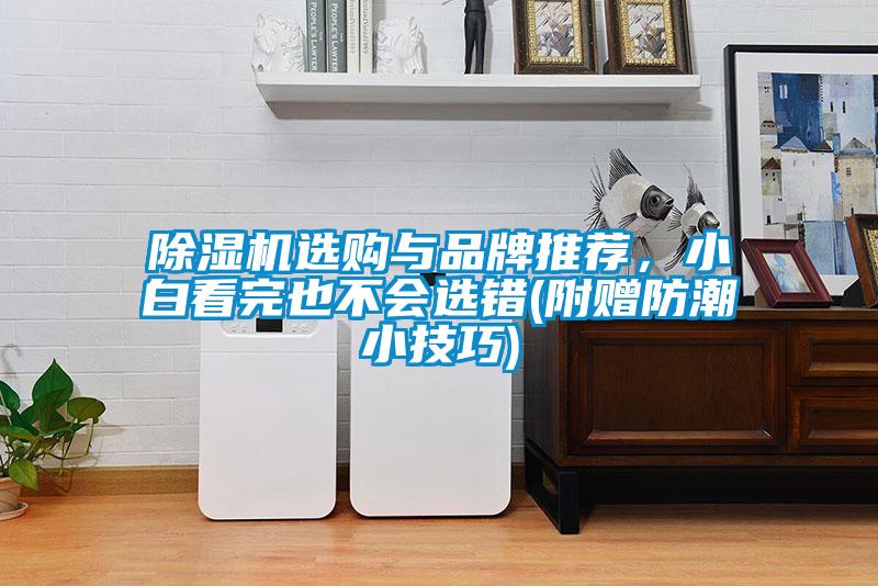 除濕機選購與品牌推薦，小白看完也不會(huì )選錯(附贈防潮小技巧)