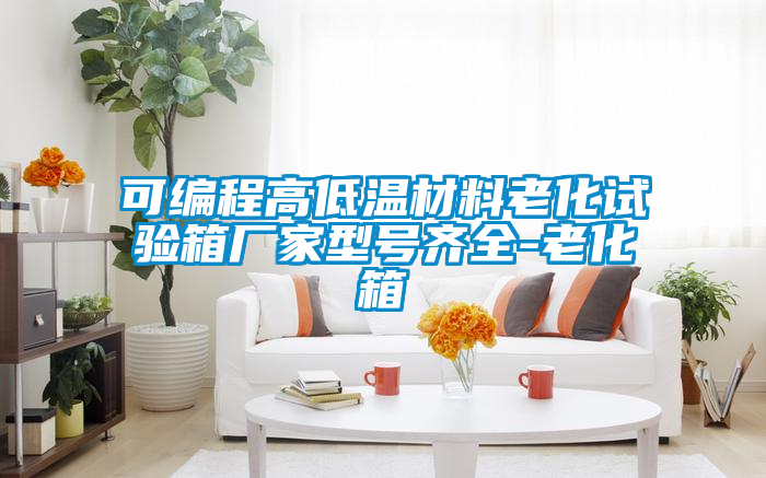 可編程高低溫材料老化試驗箱廠(chǎng)家型號齊全-老化箱