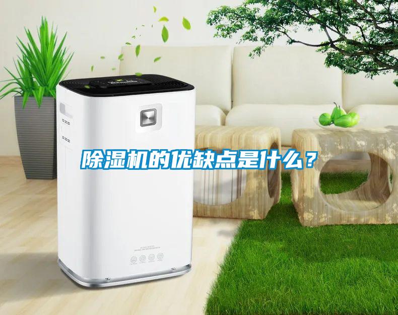 除濕機的優(yōu)缺點(diǎn)是什么？