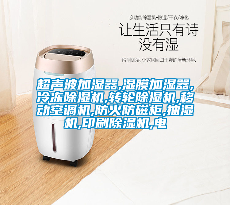 超聲波加濕器,濕膜加濕器,冷凍除濕機,轉輪除濕機,移動(dòng)空調機,防火防磁柜,抽濕機,印刷除濕機,電