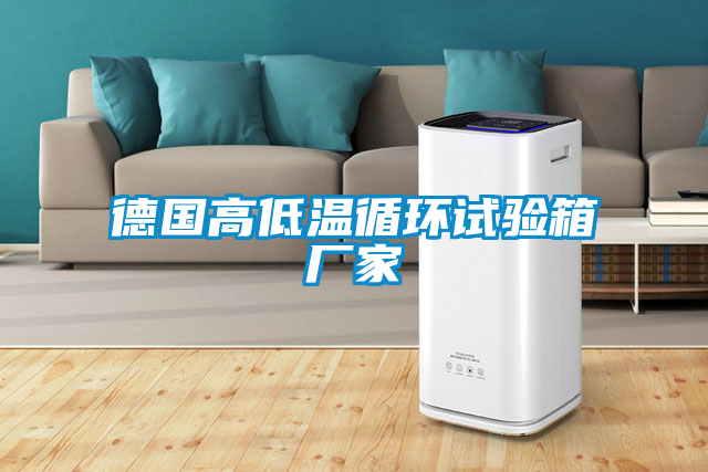 德國高低溫循環(huán)試驗箱廠(chǎng)家