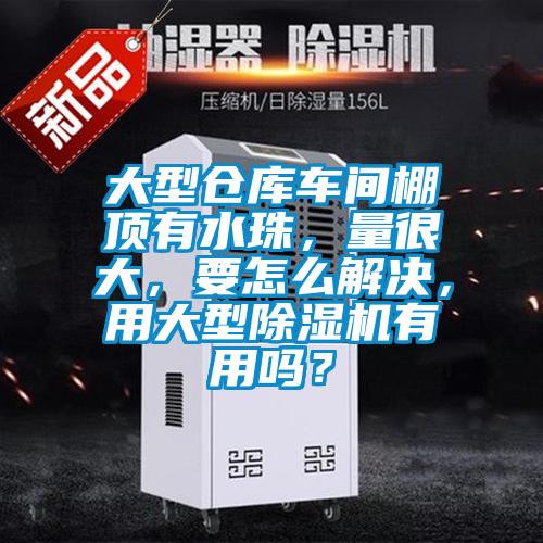 大型倉庫車(chē)間棚頂有水珠，量很大，要怎么解決，用大型除濕機有用嗎？