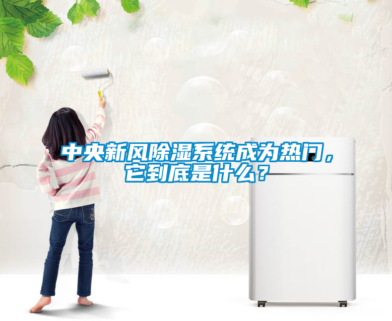 中央新風(fēng)除濕系統成為熱門(mén)，它到底是什么？