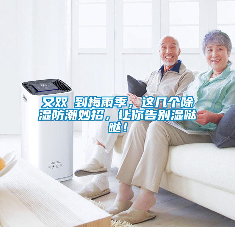 又雙叒到梅雨季，這幾個(gè)除濕防潮妙招，讓你告別濕噠噠！