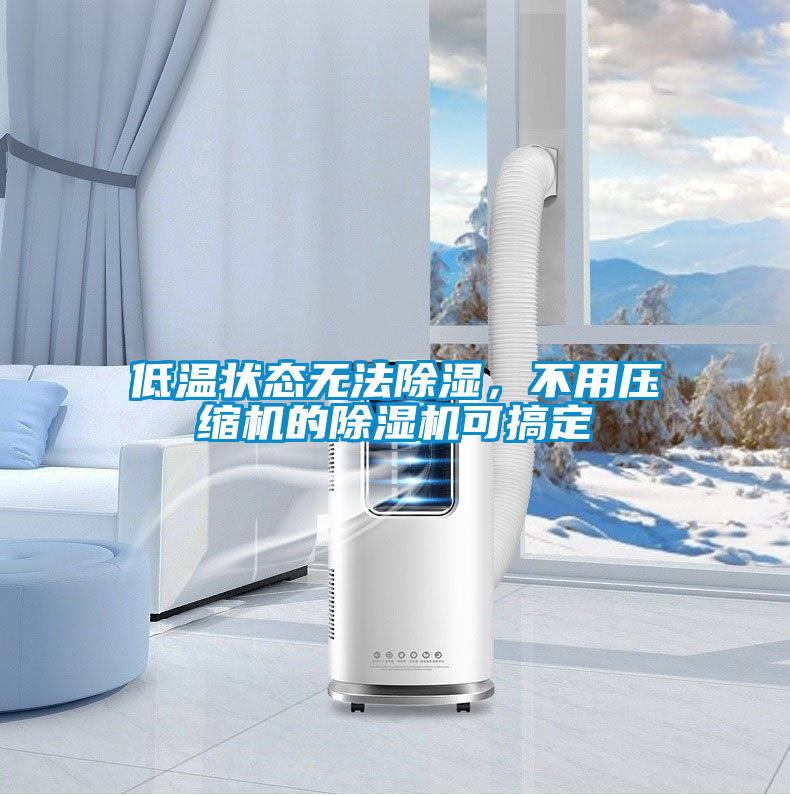 低溫狀態(tài)無(wú)法除濕，不用壓縮機的除濕機可搞定