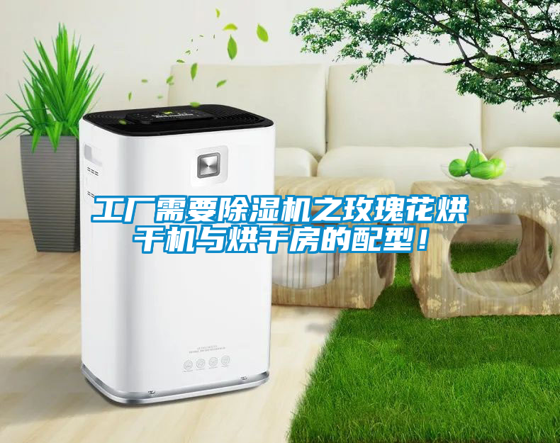 工廠(chǎng)需要除濕機之玫瑰花烘干機與烘干房的配型！