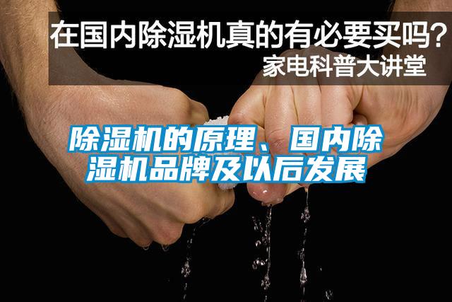 除濕機的原理、國內除濕機品牌及以后發(fā)展