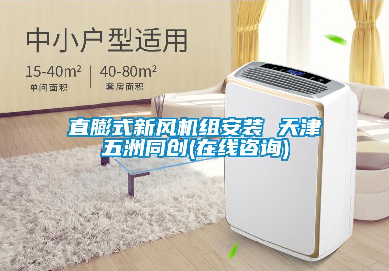直膨式新風(fēng)機組安裝 天津五洲同創(chuàng  )(在線(xiàn)咨詢(xún))