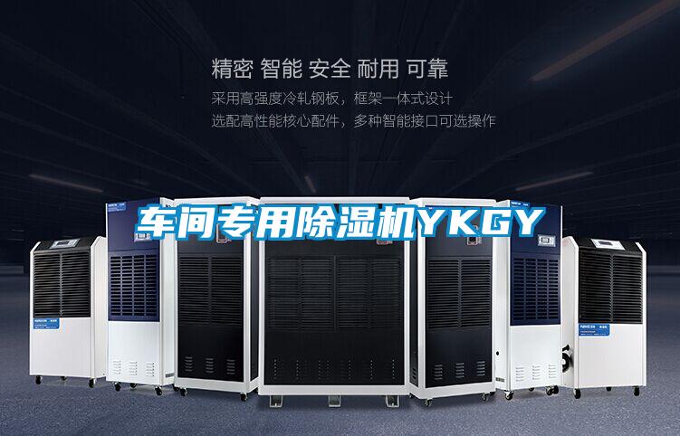 車(chē)間專(zhuān)用除濕機YKGY