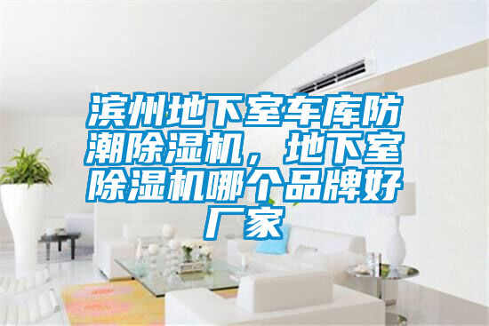 濱州地下室車(chē)庫防潮除濕機，地下室除濕機哪個(gè)品牌好廠(chǎng)家