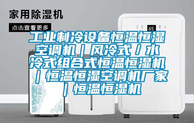 工業(yè)制冷設備恒溫恒濕空調機｜風(fēng)冷式／水冷式組合式恒溫恒濕機｜恒溫恒濕空調機廠(chǎng)家｜恒溫恒濕機