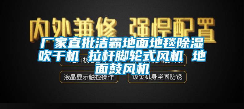 廠(chǎng)家直批潔霸地面地毯除濕吹干機 拉桿腳輪式風(fēng)機 地面鼓風(fēng)機