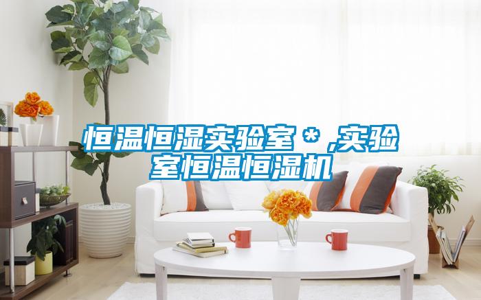 恒溫恒濕實(shí)驗室＊,實(shí)驗室恒溫恒濕機